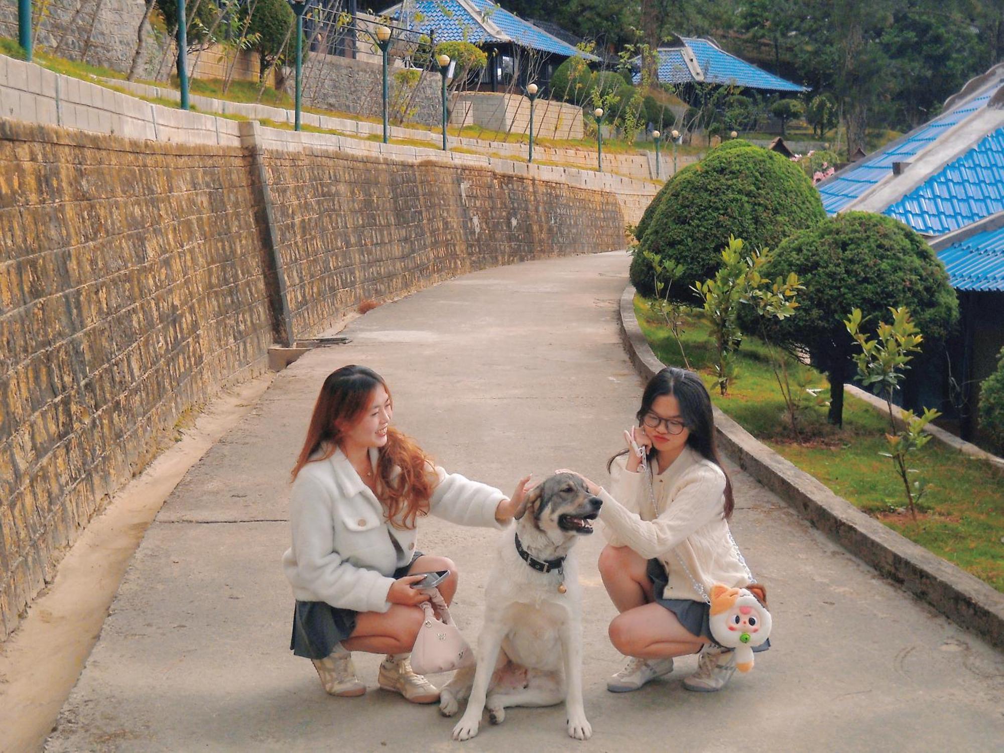 Osaka Village Dalat Exterior foto